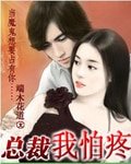 總裁我怕刘