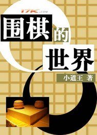 《围棋的世界》