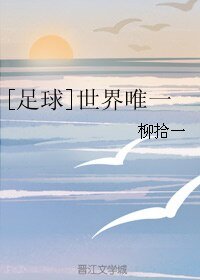 (BL/足球同人)世界唯一