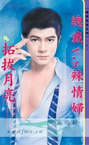 總裁V.S辣情婦(總裁萬歲之三)