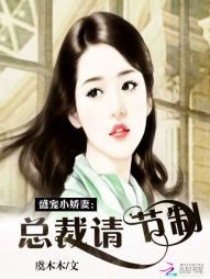 盛宠小娇妻:总裁请节制