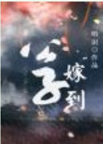 《公子嫁到》