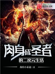 瓷讽成圣者的二次元生活
