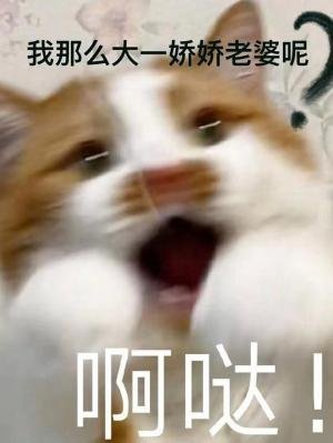 《我那麼大一嬌嬌老婆呢》