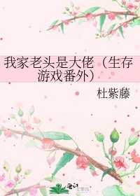 我家老头是大佬(生存游戏番外)