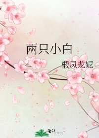 《两只小白》