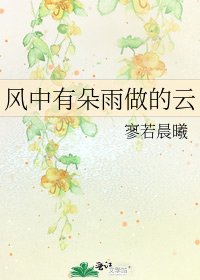 《风中有朵雨做的云》