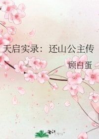 天啟實錄:還山公主傳