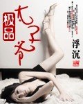 《极品太子爷》