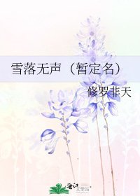 《雪落无声(暂定名)》