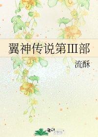 《翼神传说第Ⅲ部》