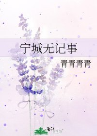 《宁城无记事》