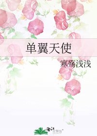 單翼天使