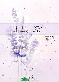 《此去。经年》