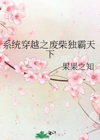 系統穿越之廢柴獨霸天下