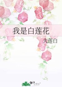 我是白蓮花