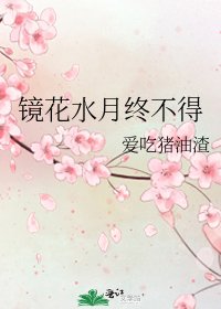 《镜花水月终不得》