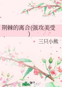 《荊棘的離合(強攻美受)》