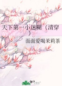 天下第一小迷糊(清穿)