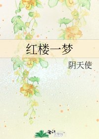 《紅樓一夢》