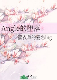 Angle的堕落