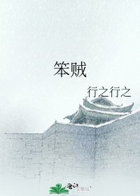 笨賊