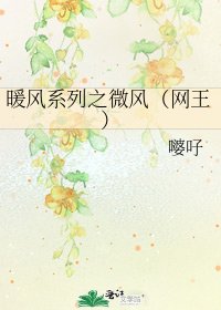 《暖风系列之微风(网王)》