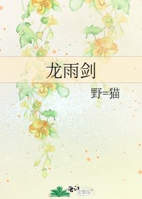 《龙雨剑》