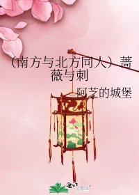 《(南方与北方同人)蔷薇与刺》