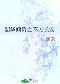韶華傾負之不見敞安