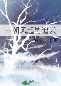 《一朝风起皆追云》