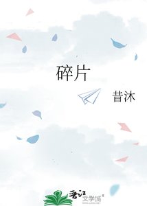 碎片