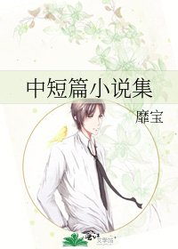中短篇小说集