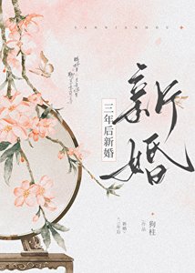 三年後新婚