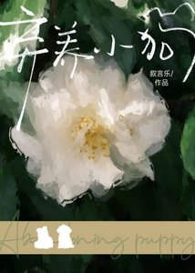 《棄養小狗》