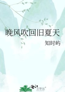 晚风吹回旧夏天