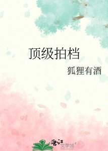《顶级拍档》