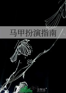 《马甲扮演指南》