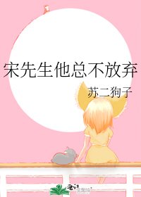 宋先生他总不放弃