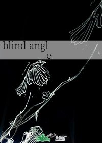 blind angle