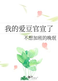 我的愛豆官宣了