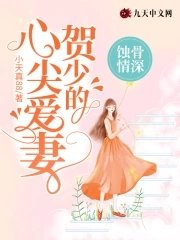 《蚀骨情深:贺少的心尖爱妻》