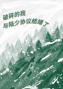 《破碎的我与陆少协议结婚了》
