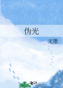《伪光》