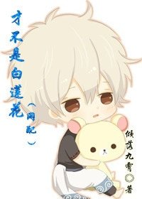 《才不是白莲花》