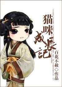 貓咪成長記