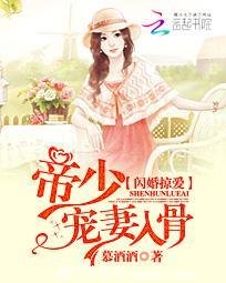 《闪婚掠爱:帝少宠妻入骨》